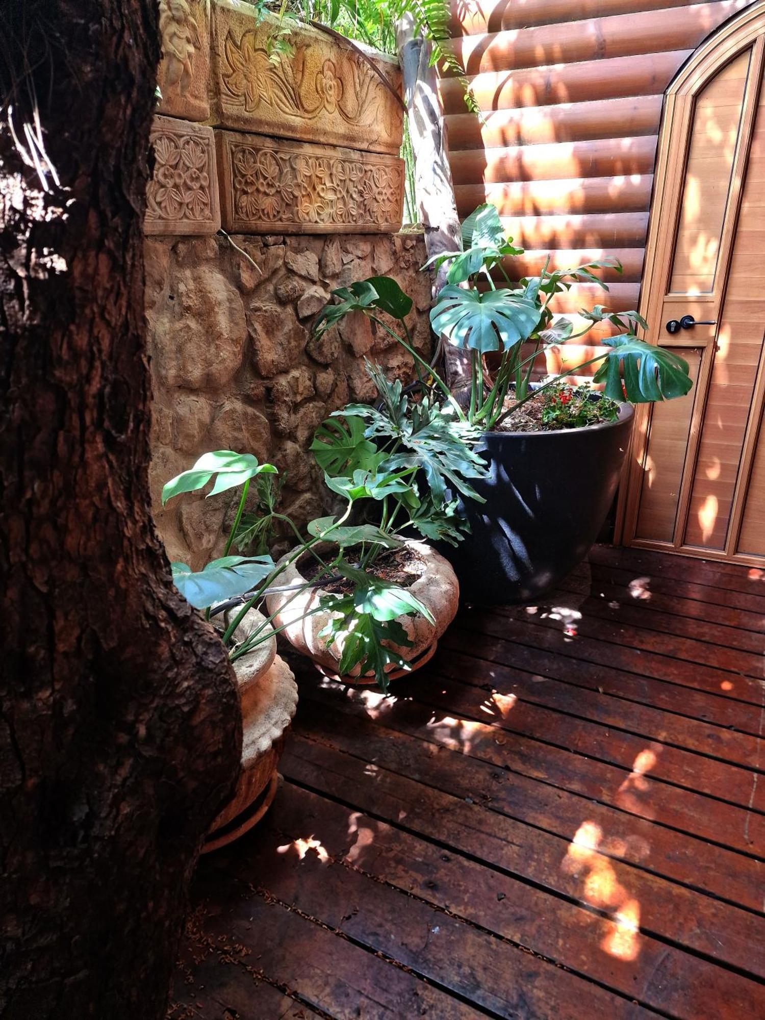 Ohn-Bar Guesthouse Amirim Zewnętrze zdjęcie
